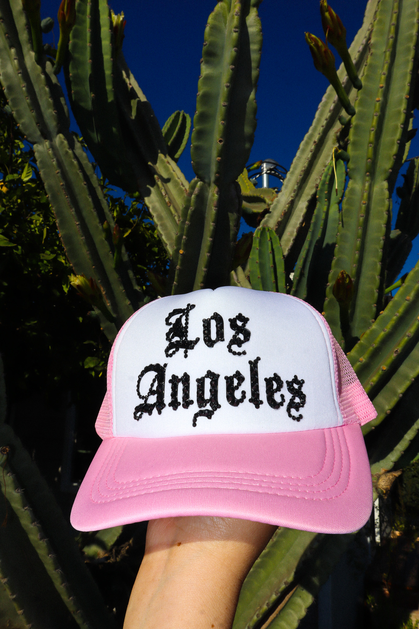 Los Angeles Trucker Hat in Pink