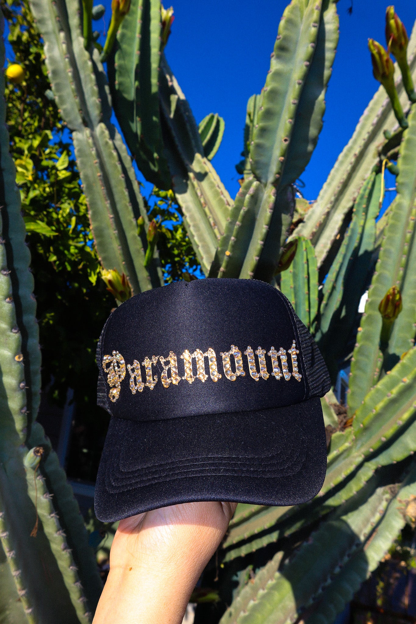 Paramount Trucker Hat in Black and Gold